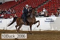 10buck_2086 proof