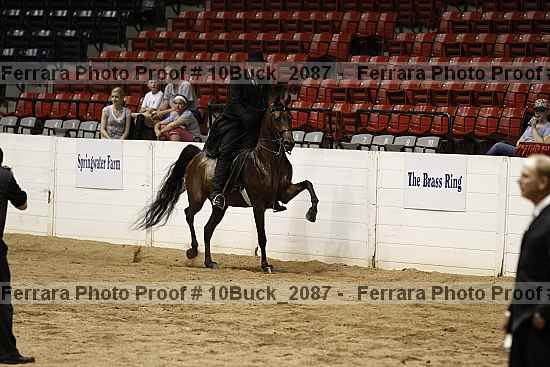 Proof 10buck_2087