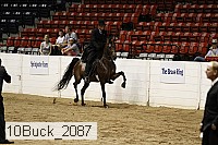 10buck_2087 proof