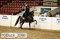 10buck_2088 proof