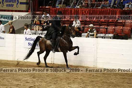 Proof 10buck_2089
