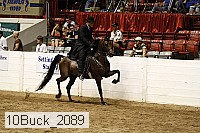 10buck_2089 proof