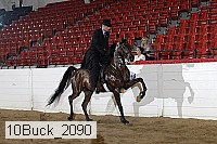 10buck_2090 proof