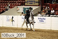 10buck_2091 proof