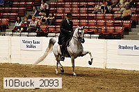10buck_2093 proof