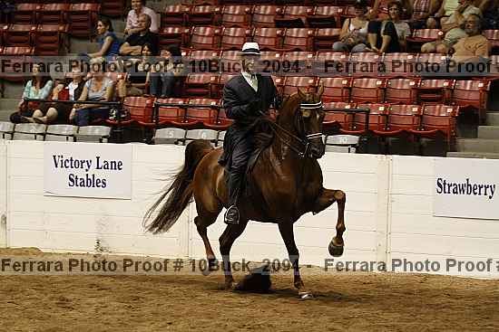 Proof 10buck_2094