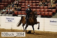 10buck_2094 proof