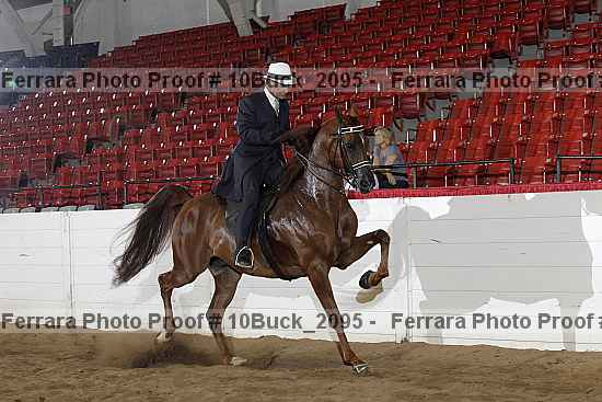 Proof 10buck_2095