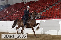 10buck_2095 proof