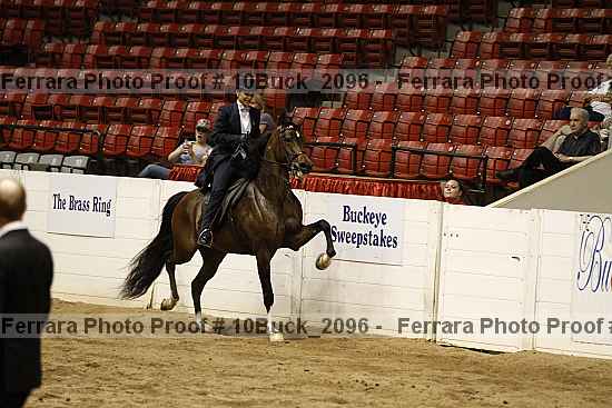 Proof 10buck_2096