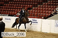 10buck_2096 proof