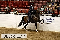 10buck_2097 proof