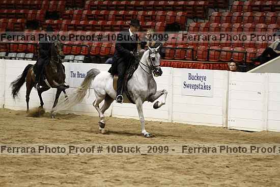 Proof 10buck_2099
