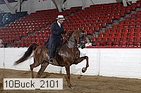 10buck_2101 proof