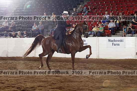 Proof 10buck_2102