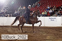 10buck_2102 proof