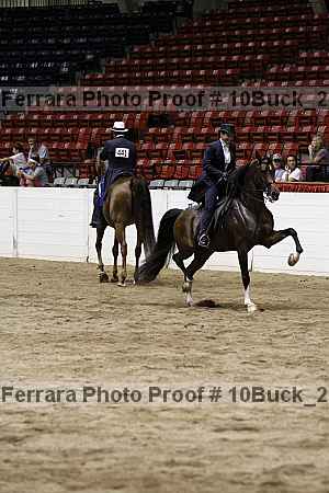 Proof 10buck_2103