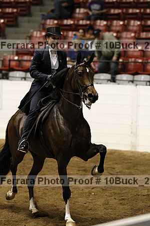 Proof 10buck_2105