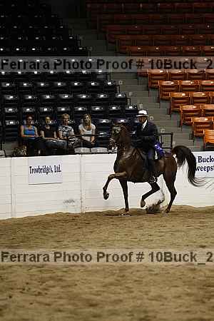 Proof 10buck_2106