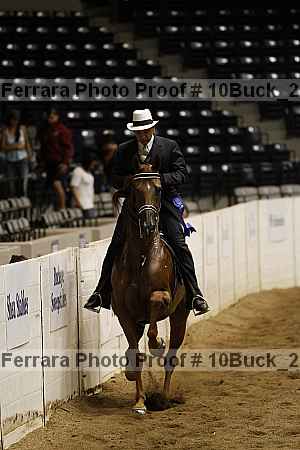 Proof 10buck_2110