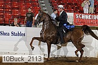 10buck_2113 proof