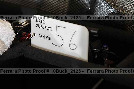 Proof 10buck_2125