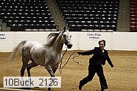 10buck_2126 proof