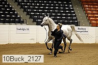 10buck_2127 proof
