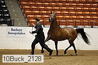 10buck_2128 proof