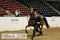 10buck_2129 proof