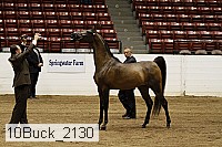 10buck_2130 proof