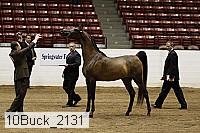 10buck_2131 proof