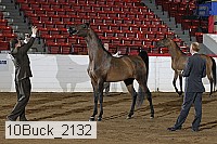 10buck_2132 proof