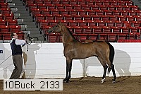10buck_2133 proof