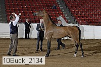 10buck_2134 proof