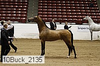 10buck_2135 proof