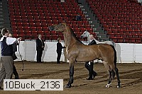10buck_2136 proof