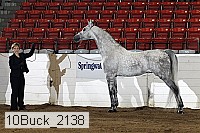 10buck_2138 proof