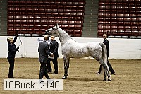 10buck_2140 proof