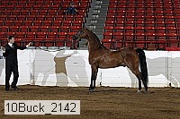 10buck_2142 proof