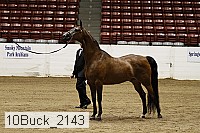 10buck_2143 proof