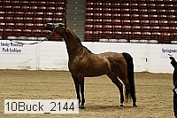 10buck_2144 proof