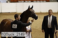 10buck_2149 proof