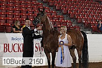 10buck_2150 proof