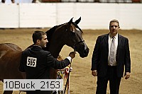 10buck_2153 proof