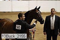 10buck_2155 proof