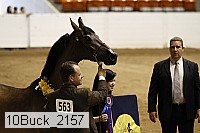 10buck_2157 proof