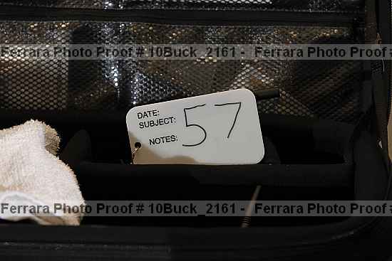 Proof 10buck_2161