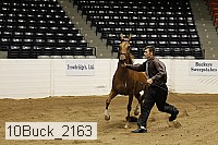 10buck_2163 proof