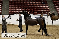 10buck_2164 proof